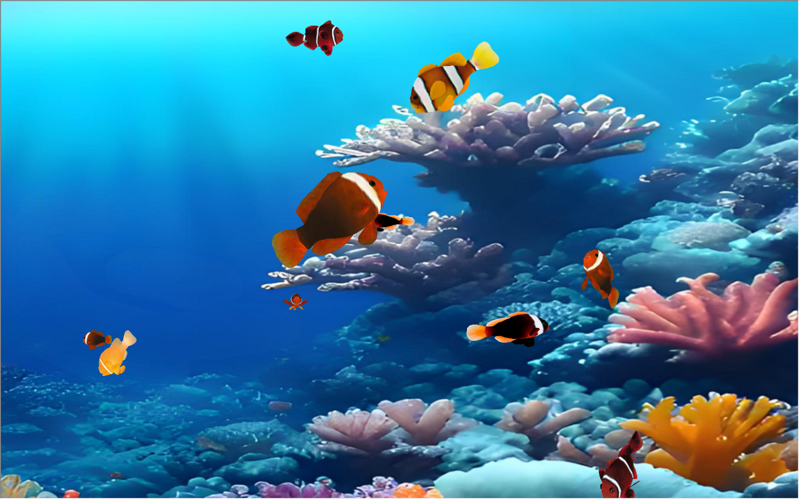 Virtual Tank Virtual Coral Clownfish Tank: Innovating Aquatic Experiences Through ...