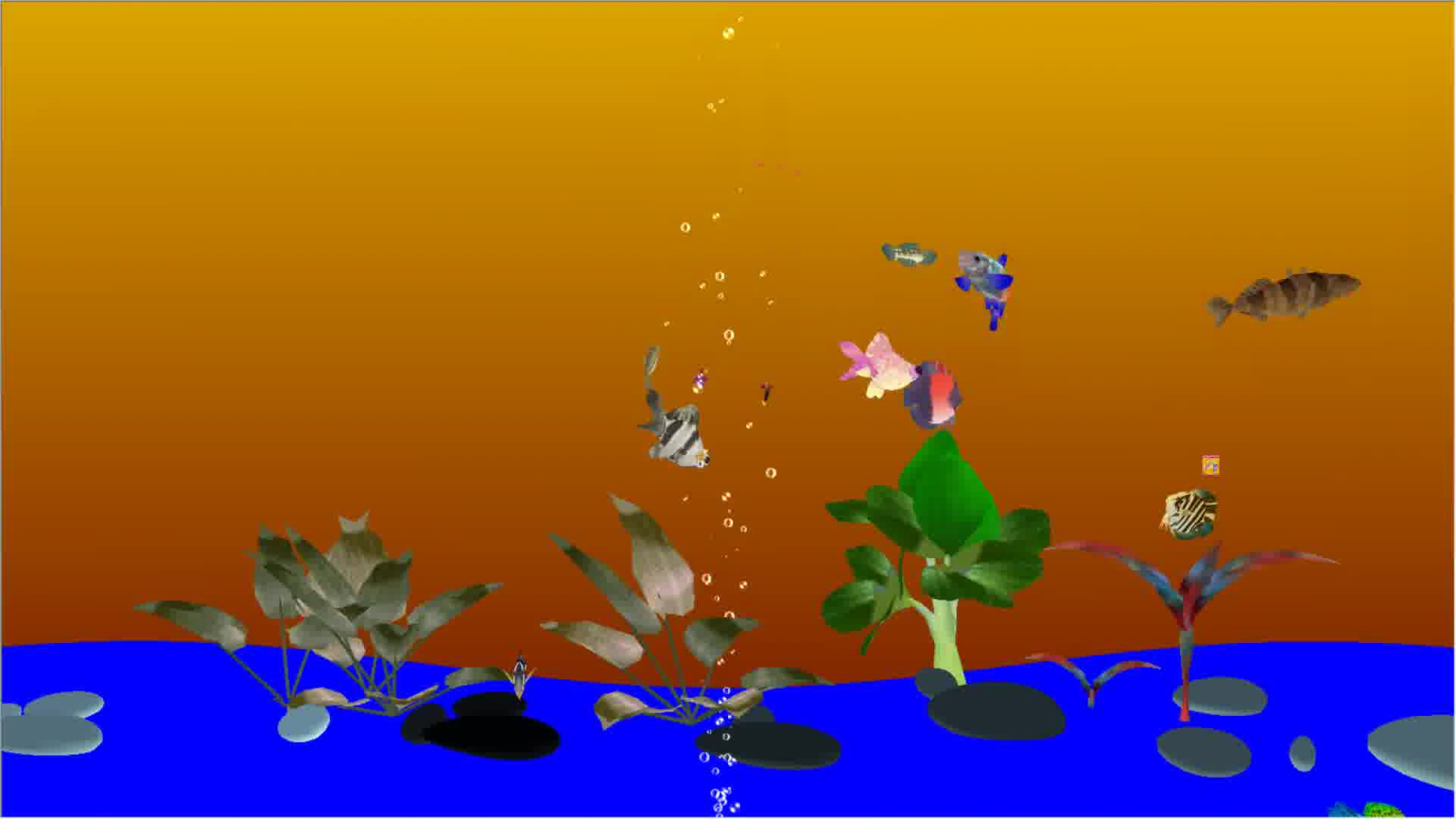 Background of freshwater fish tank