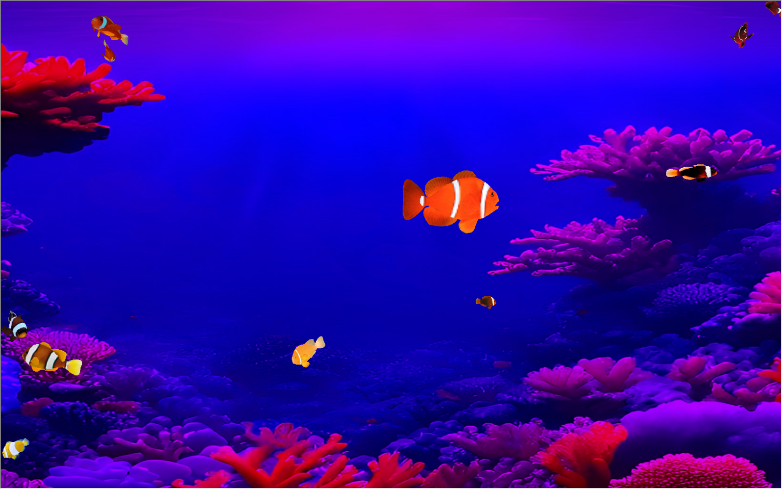 Virtual 3D Coral Clownfish Tank